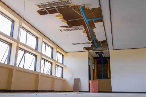 Best 24/7 water damage repair  in Woodhaven, MI