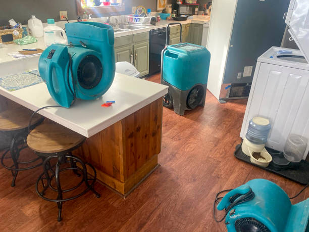 Best Carpet water damage restoration  in Woodhaven, MI