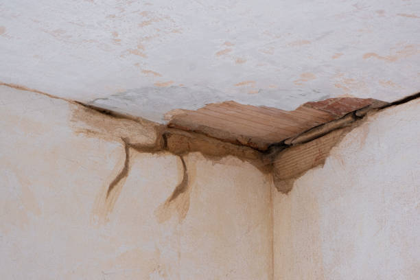 Best Water damage restoration company  in Woodhaven, MI