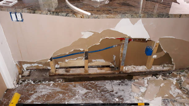  Woodhaven, MI Water damage restoration Pros