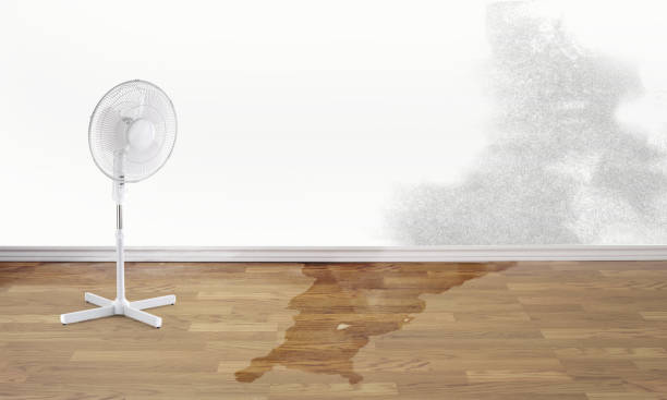 Professional Water damage restoration in Woodhaven, MI