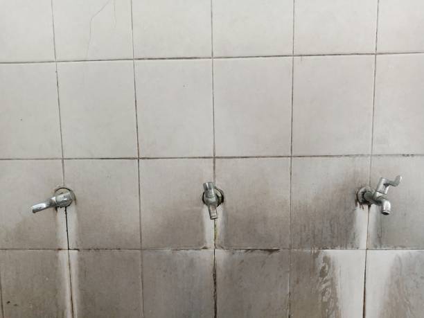 Best Mold removal after water damage  in Woodhaven, MI
