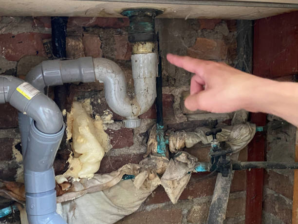 Best Emergency water damage restoration  in Woodhaven, MI