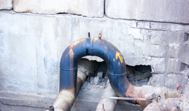 Best Basement water damage restoration  in Woodhaven, MI