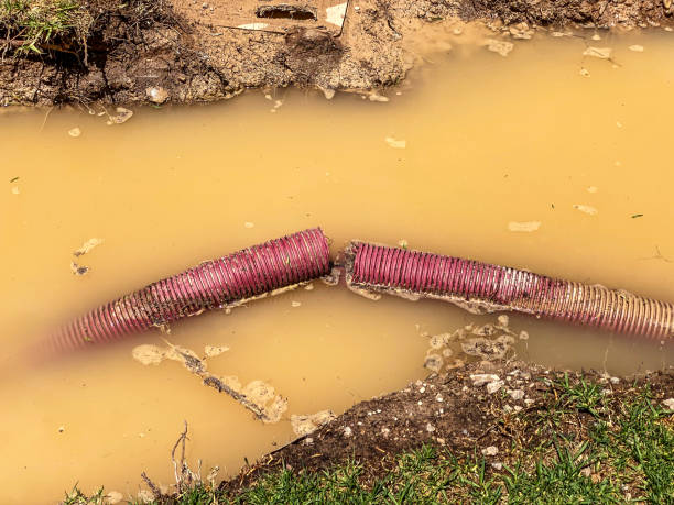 Best Water damage restoration near me  in Woodhaven, MI