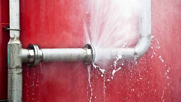 Best Professional water damage repair  in Woodhaven, MI