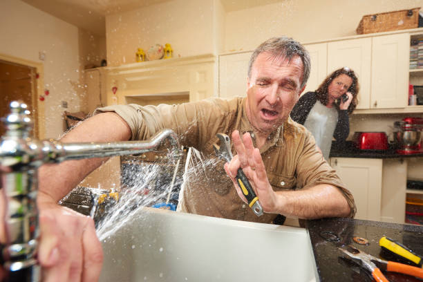 Best Water damage cleanup near me  in Woodhaven, MI